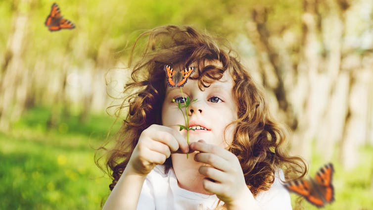 Child looking at butterflies