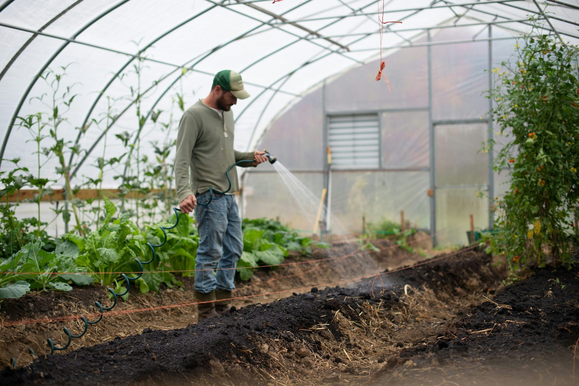 Un homme arrose des plants dans une serre