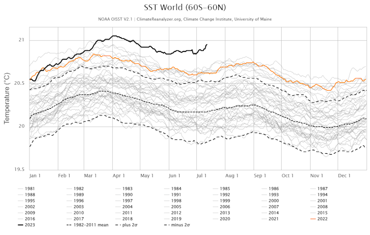 A chart of every year's global daily average sea surface temperature shows 2023 far above all other years since satellite records started in 1981.