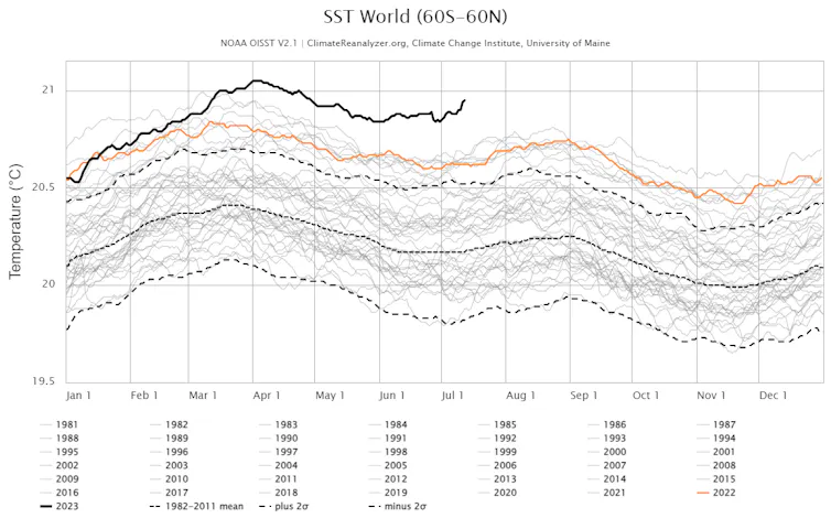 A chart of every year's global daily average sea surface temperature shows 2023 far above all other years since satellite records started in 1981.