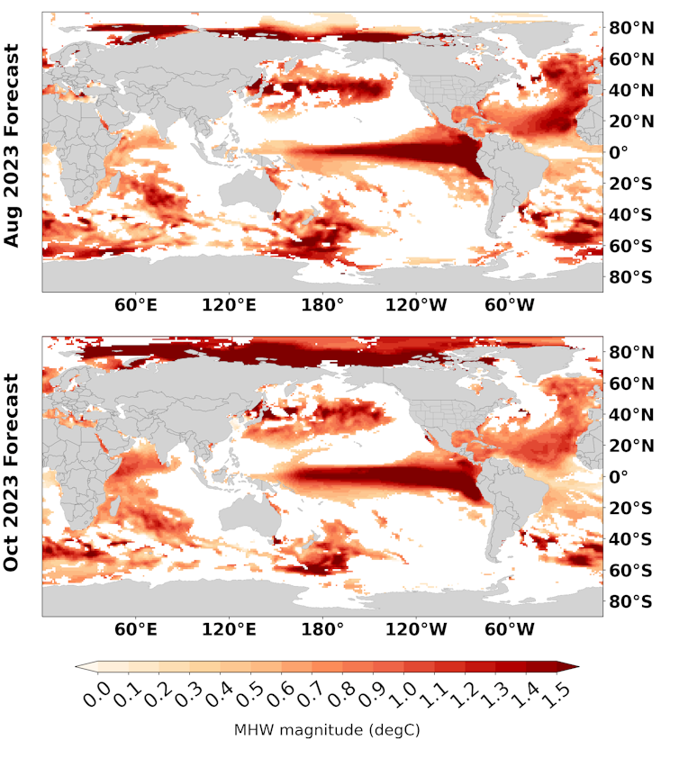 Two maps show large areas of above average heat, particularly along the equator in the Pacific, which is an indicator of El Nino, and in much of the Atlantic.