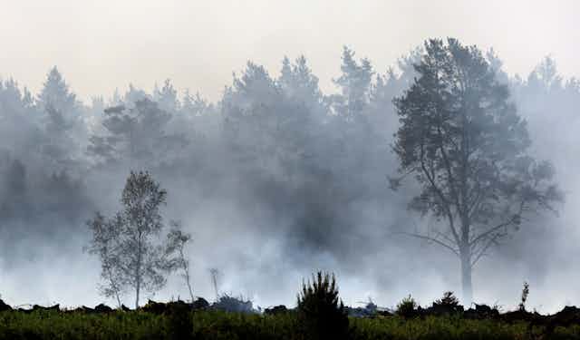 Smoke rises from the ground but there is no visible fire. Trees in the background are obscured by the smoke.