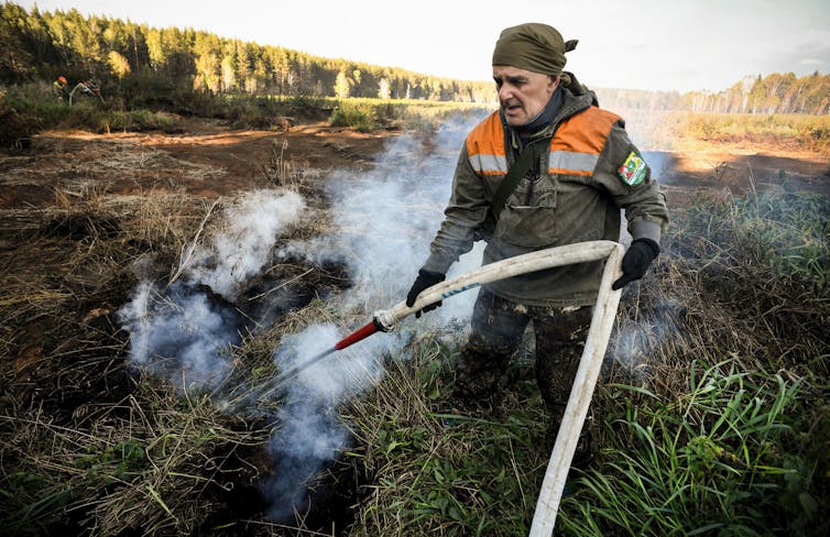 A volunteer with no mask or protective gear holds a fire hose as he fights an underground fire in a peat bog. The open bog is behind him, rimmed by forest.
