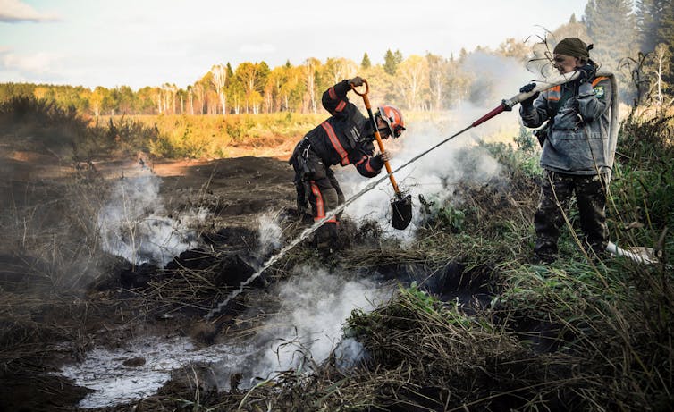 Two people point aim a hose at smoldering peat in an area surrounded by trees.