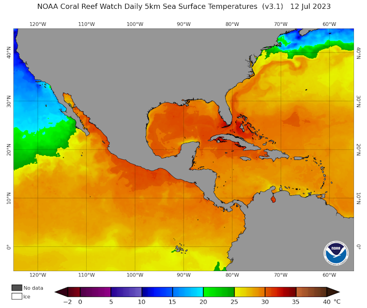 A map shows warm ocean temperatures across a large part of the Atlantic and Pacific around North America.