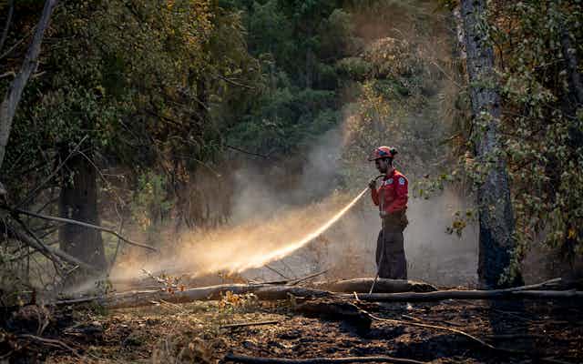 Wildland firefighter sprays water on hot spots remaining from a controlled burn.