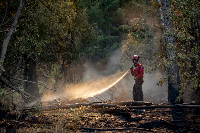 Wildland firefighter sprays water on hot spots remaining from a controlled burn.