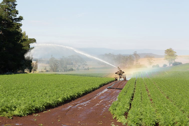 machine waters crops