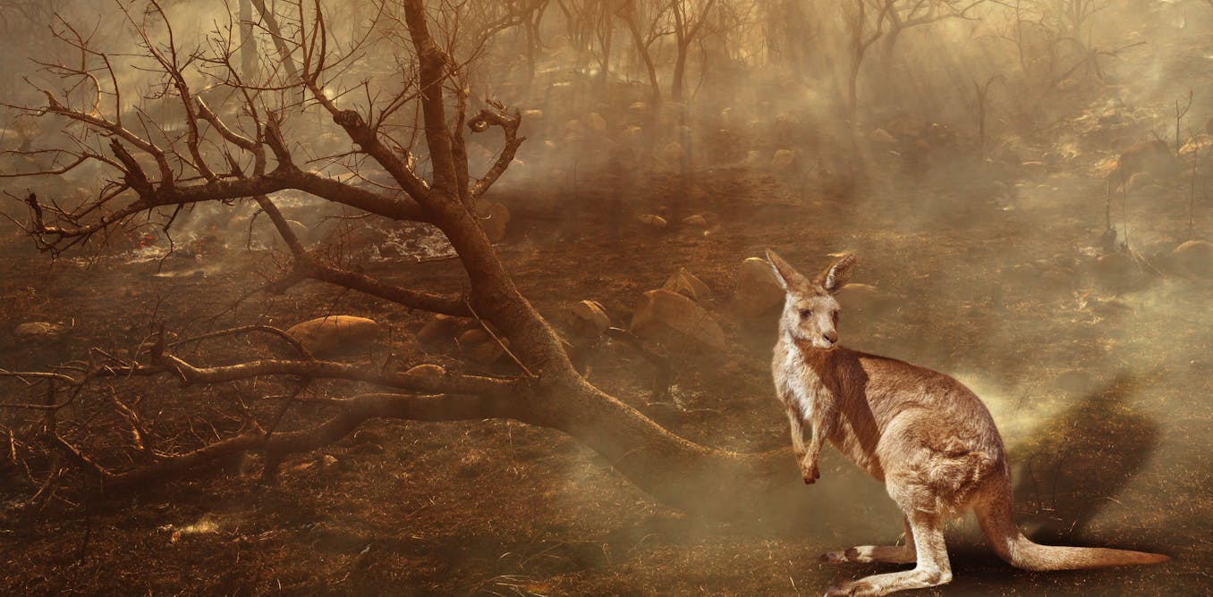 file-20230714-29-9sb46u.jpg?ixlib=rb-4.1