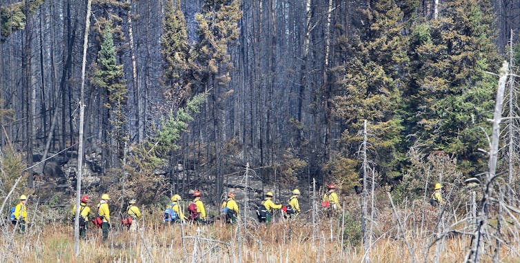 A fire crew cuts a fire line across a boggy area.