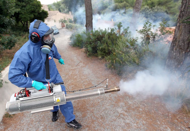 Un employé de l'EID Méditerranée pulvérise de l'insecticide dans le sud de la France.