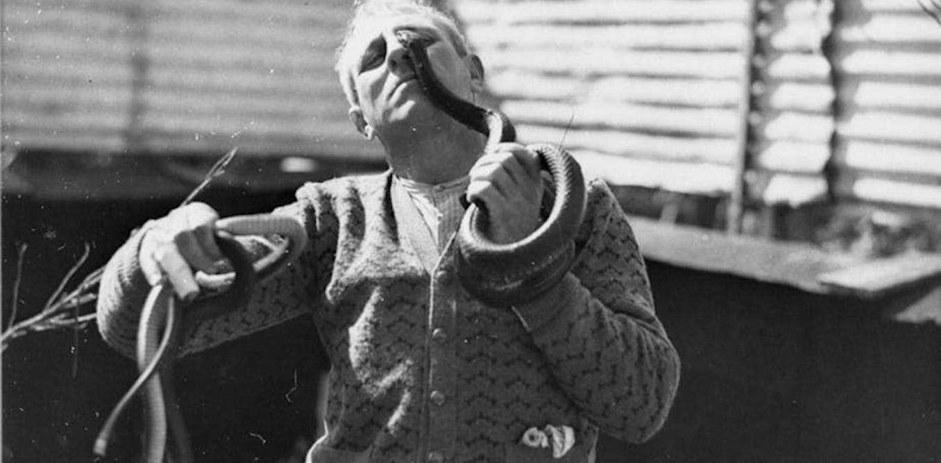 The Evolution of Snakebite Treatment in Australia: From Dangerous