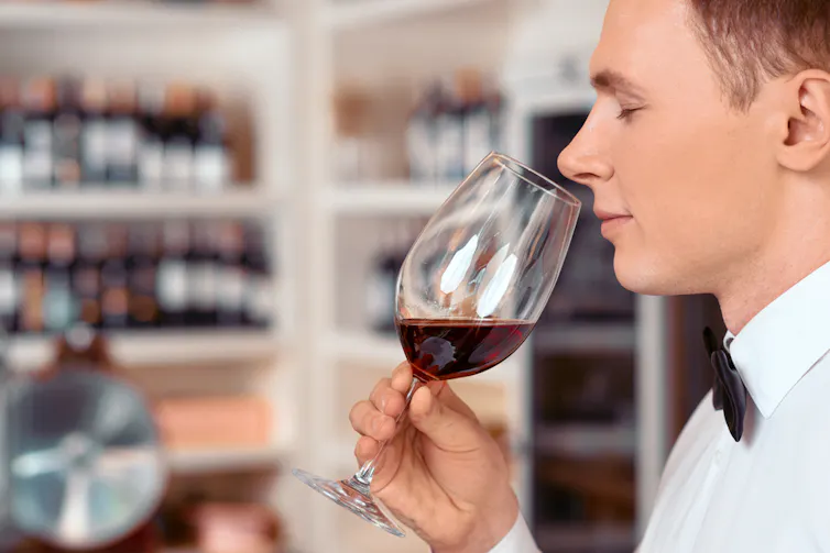 Person smelling wine
