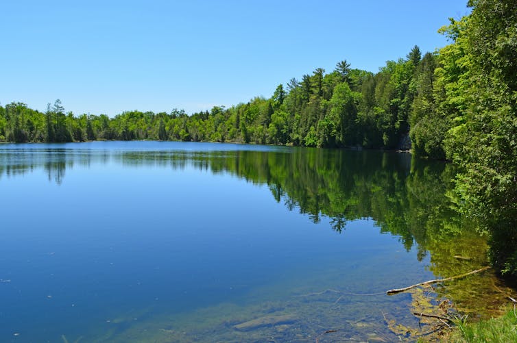 lake crawford