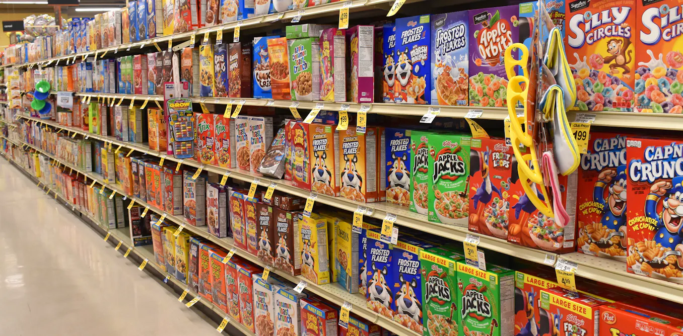 La mitad de la población sudafricana tiene sobrepeso o es obesa. Las etiquetas de advertencia en los alimentos poco saludables ayudan a cambiar eso La mitad de la población sudafricana tiene sobrepeso o es obesa. Las etiquetas de advertencia en los alimentos poco saludables ayudan a cambiar eso