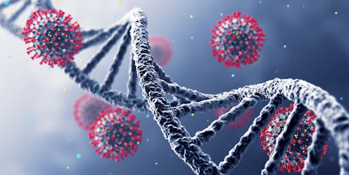 Asymptomatic COVID-19 is linked to a gene variant that boosts immune memory after exposure to prior seasonal cold viruses