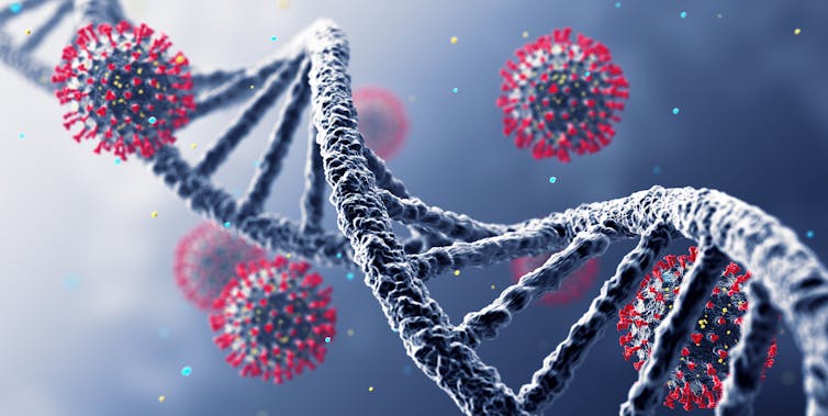 Asymptomatic COVID-19 is linked to a gene variant that boosts immune memory after exposure to prior seasonal cold viruses