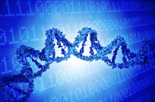 Your genetic code has lots of 'words' for the same thing – information theory may help explain the redundancies