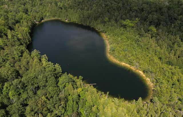 A lake surrounded by trees.