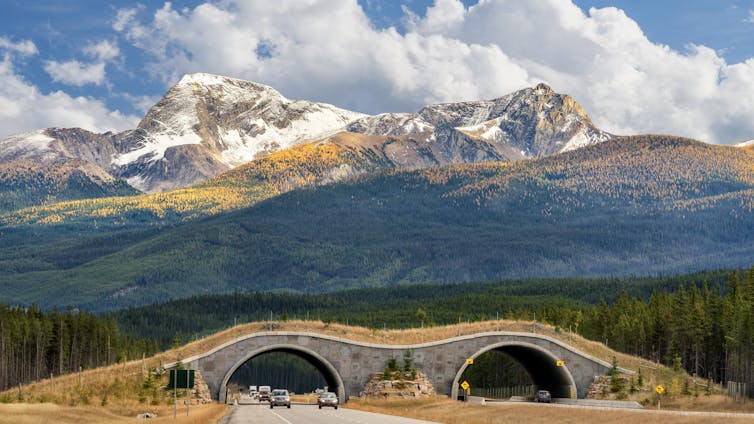 A bridge for wildlife over a highway with mountains in the background