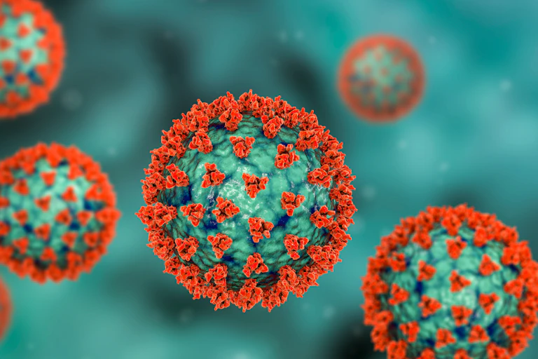 An illustration of SARS-CoV-2, the virus that causes COVID.