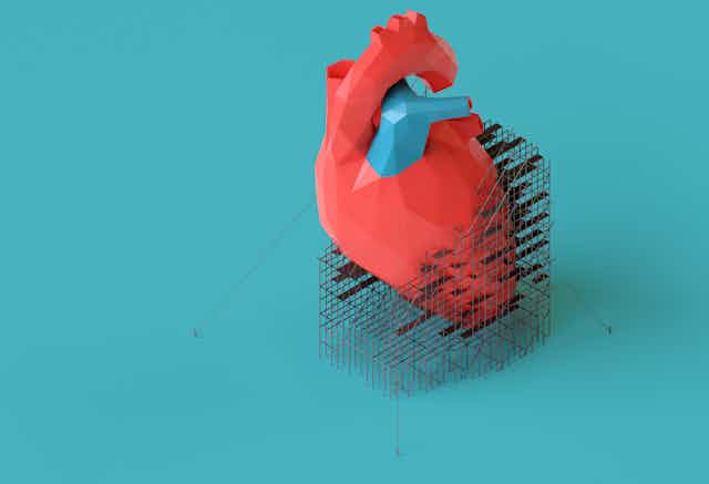 Modelo 3D de corazón con andamios