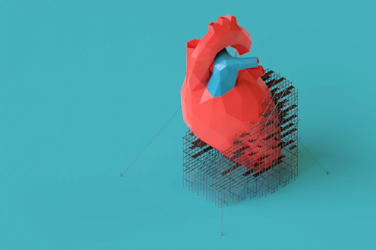 Modelo 3D de corazón con andamios