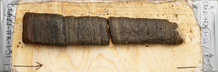 Core sample from Crawford Lake on a wooden table top.