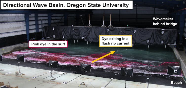 Waves in a large laboratory tank, stained with pink dye to track currents.