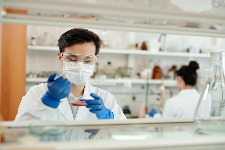 Scientist looks at petri dish in lab