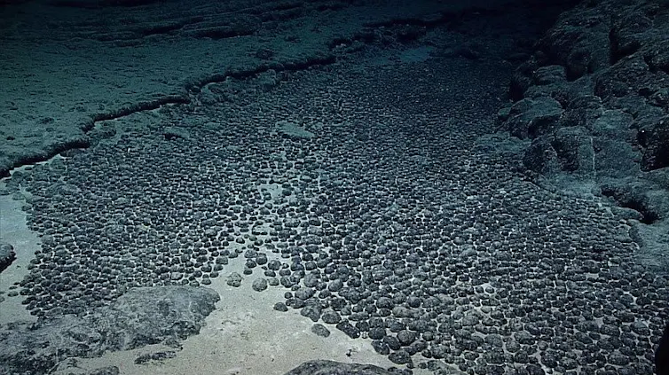 polymetallic nodules