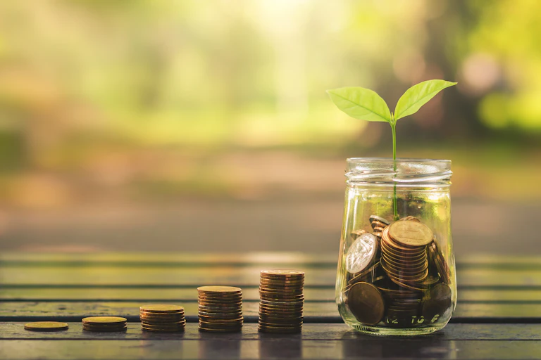 Piles of coins and a green shoot.