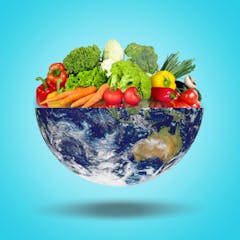 research topics about vegetarian diets