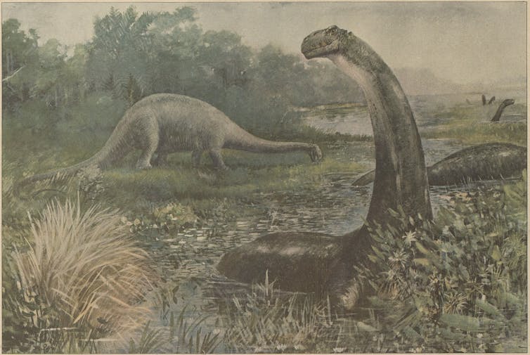 Why Dippy the dinosaur stays liked, 120 years after arriving on the Herbal Historical past Museum 3 A painting of a Brontosaurus surrounded by trees.