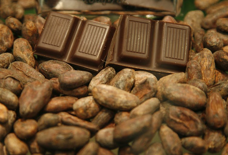 sections of a chocolate bar sit on top of a pile of cocoa beans