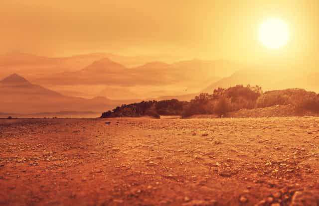 A composite image of hot arid climate landscape
