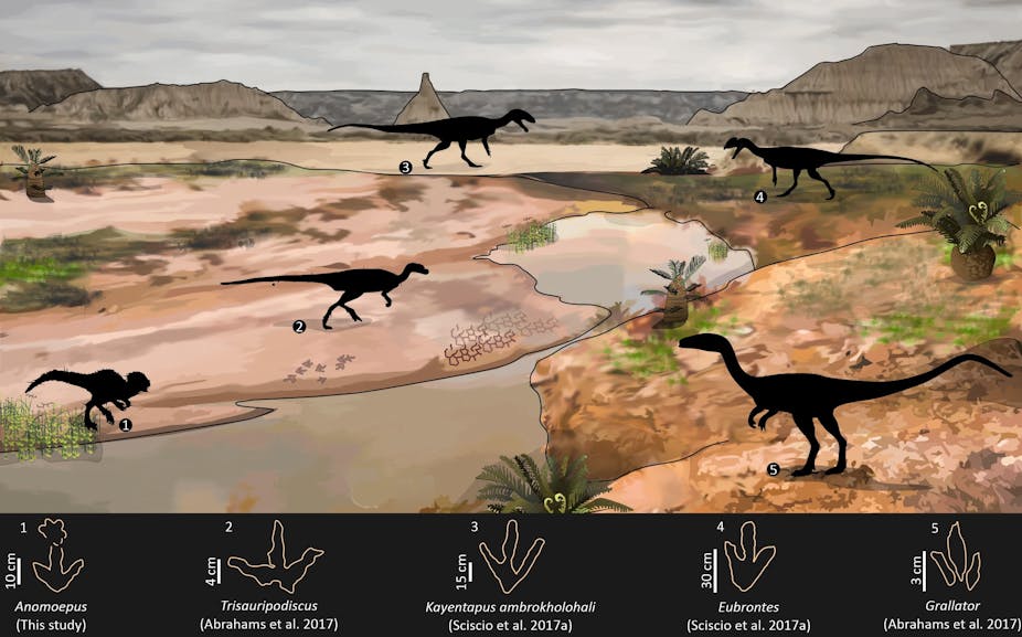 An illustrated landscape featuring tufts of grass, water and sand, dotted with the black outlines of different dinosaurs. A legend along the bottom shows the different species' footprints