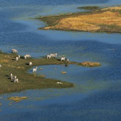 research paper about oil exploration