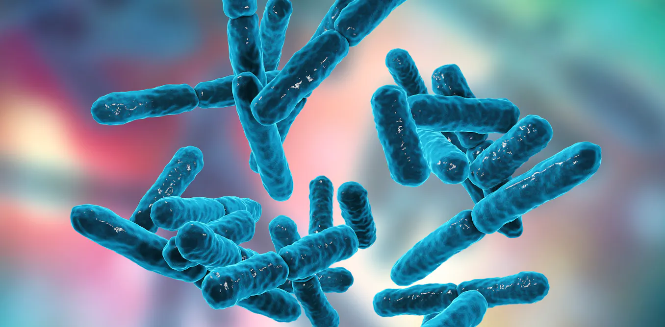 meet Bifidobacterium breve, keeping babies healthy meet Bifidobacterium breve, keeping babies healthy