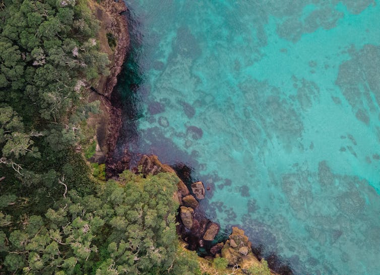 An aerial view of a coastal section