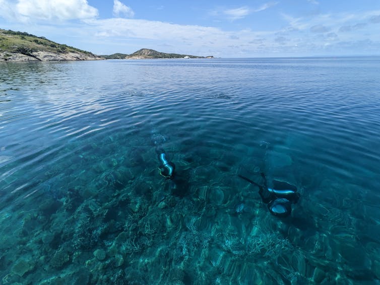 two divers in shallow water