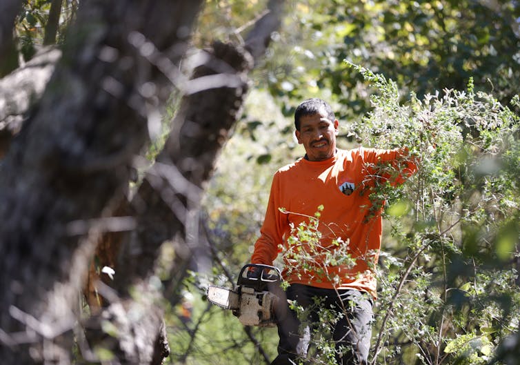 A man carries a chain saw through an overgrown area with trees behind him.