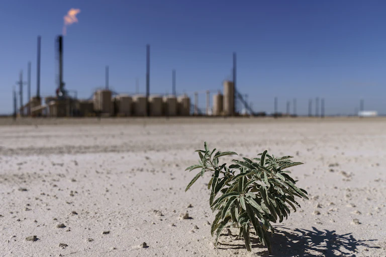A lone plant grows from the dry soil next to a flare burning off methane and other hydrocarbons.