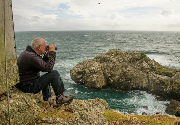 Tim Birkhead sat on top of a cliff peering through binoculars.