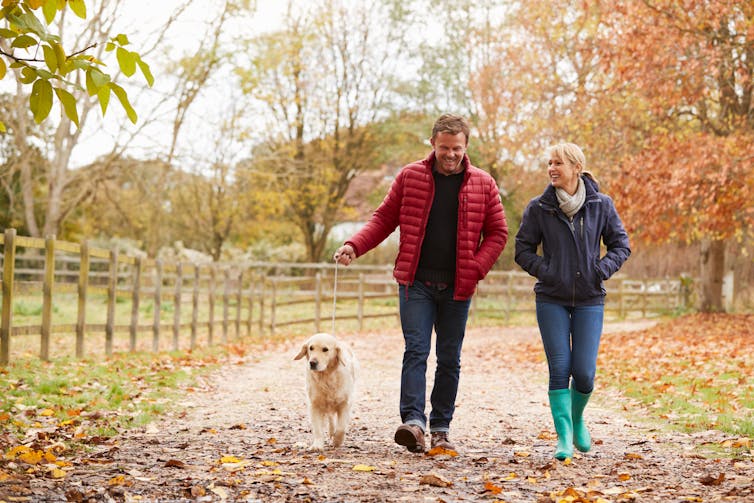 A middle aged man and woman go for an autumn walk with their dog in a park.