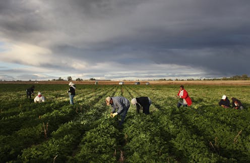 Sexual violence is a pervasive threat for female farm workers – here's how the US could reduce their risk