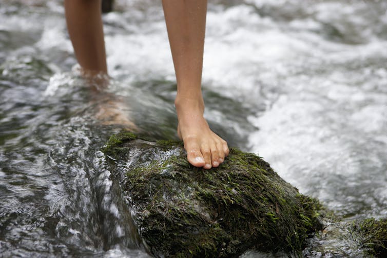 Barefoot walking on mossy stones in the stream.