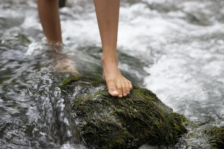 bare feet walking over mossy stones in a river