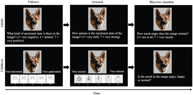 A row of images of an angry dog with questions asking about its emotional state