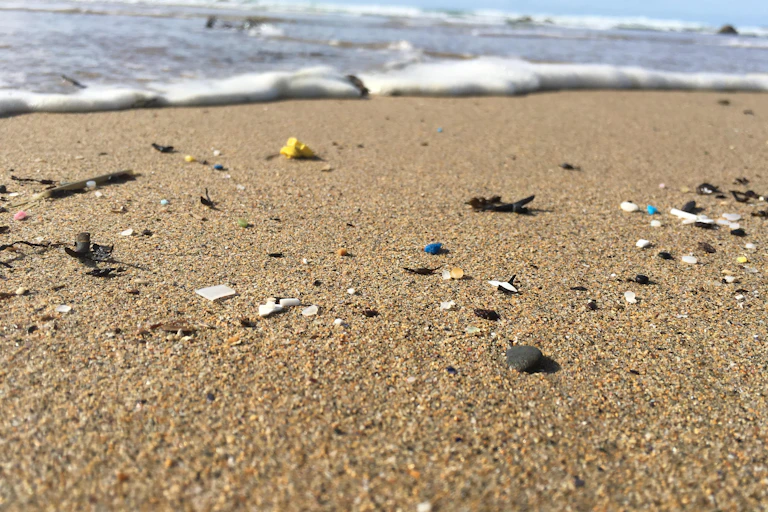 Débris de micro-plastiques sur une plage du Finistère. On estime que plus de 220 millions de tonnes de plastique sont produites chaque année. On estime que les déchets plastiques (macro, micro et nano) causent le décès de plus d'un million d'oiseaux marins et 100 000 mammifères marins chaque année.